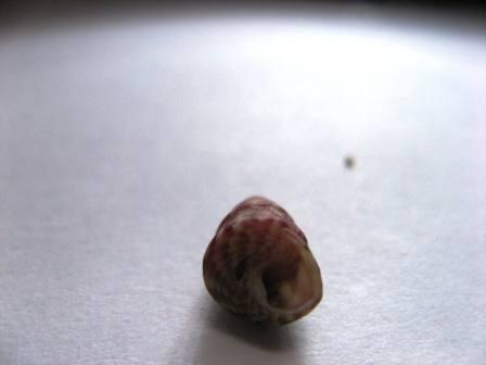 Ciao a tutti cos''�?